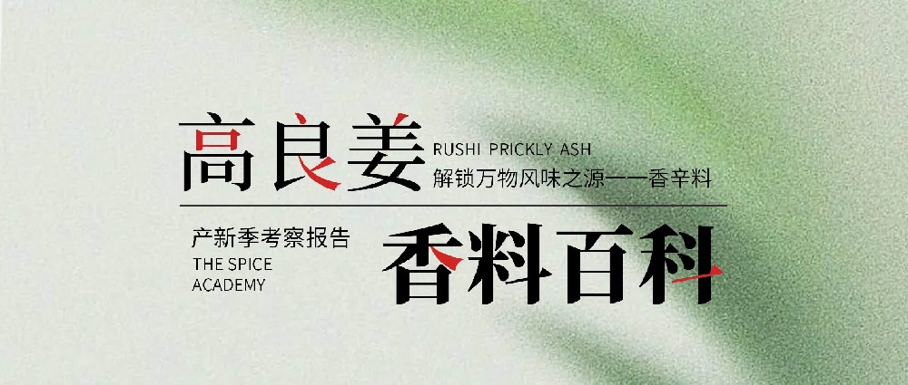 챨桿2024¿챨