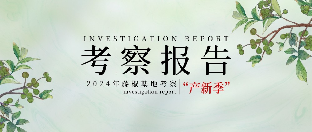 챨桿ǲ2024ٽ¿챨